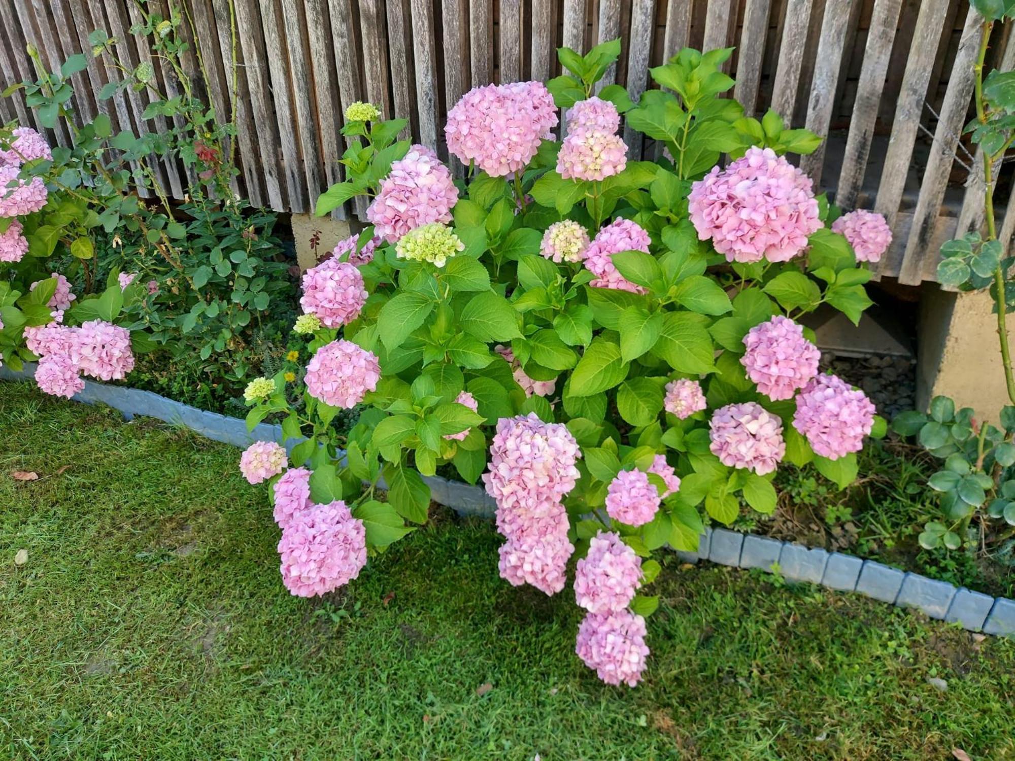 Kuca Za Odmor Mazuran Villa Karlovac Bagian luar foto