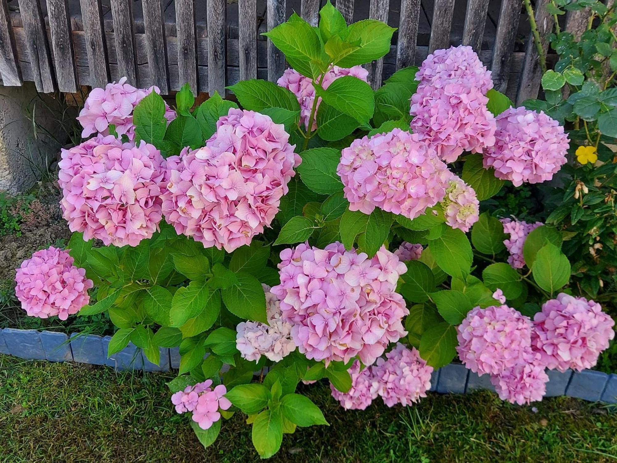 Kuca Za Odmor Mazuran Villa Karlovac Bagian luar foto