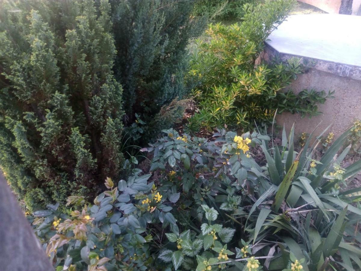 Kuca Za Odmor Mazuran Villa Karlovac Bagian luar foto