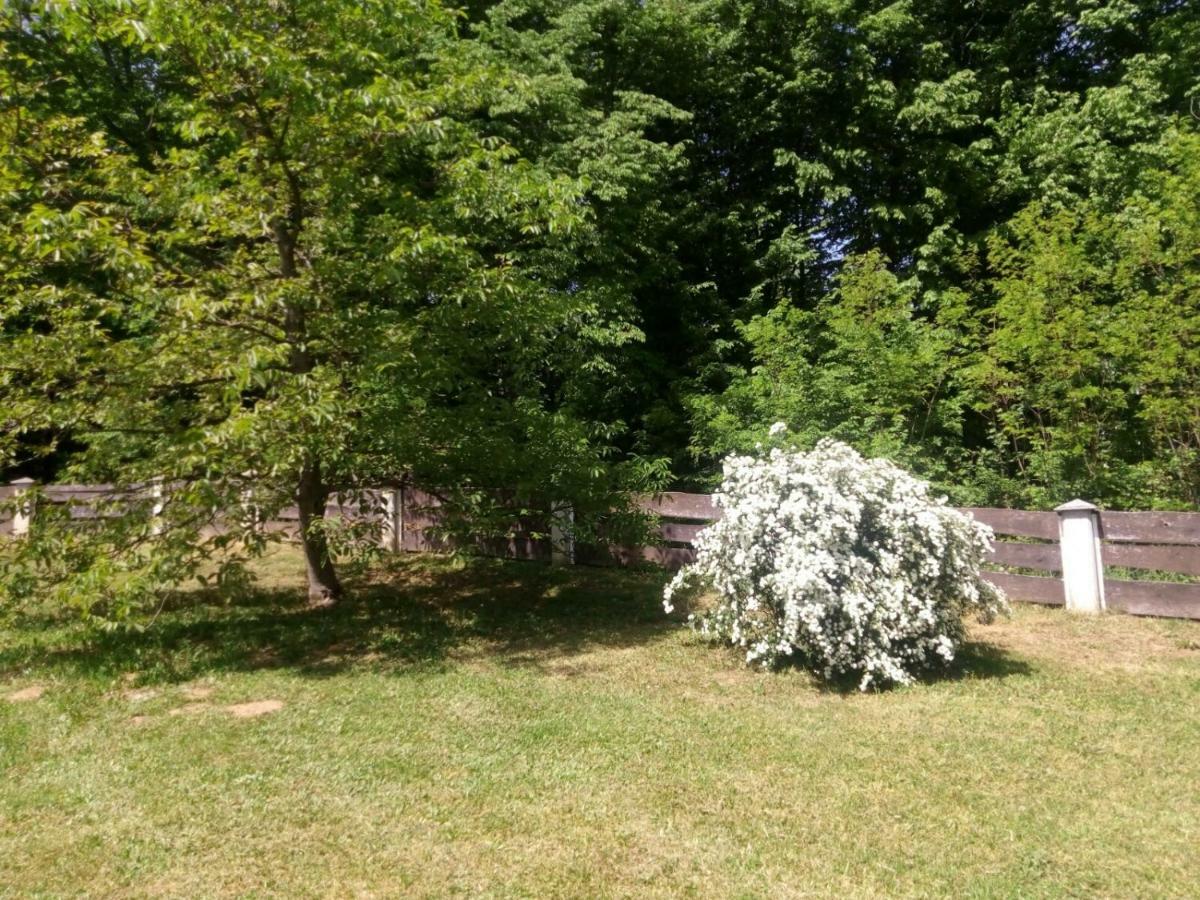 Kuca Za Odmor Mazuran Villa Karlovac Bagian luar foto